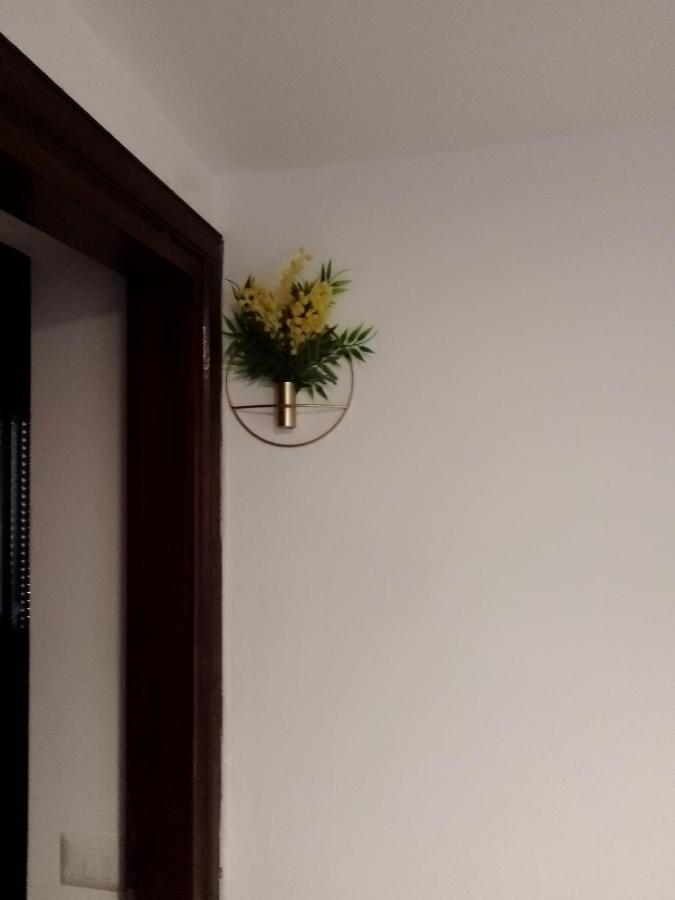 Casa Carducci Affittacamere Monteleto Екстер'єр фото